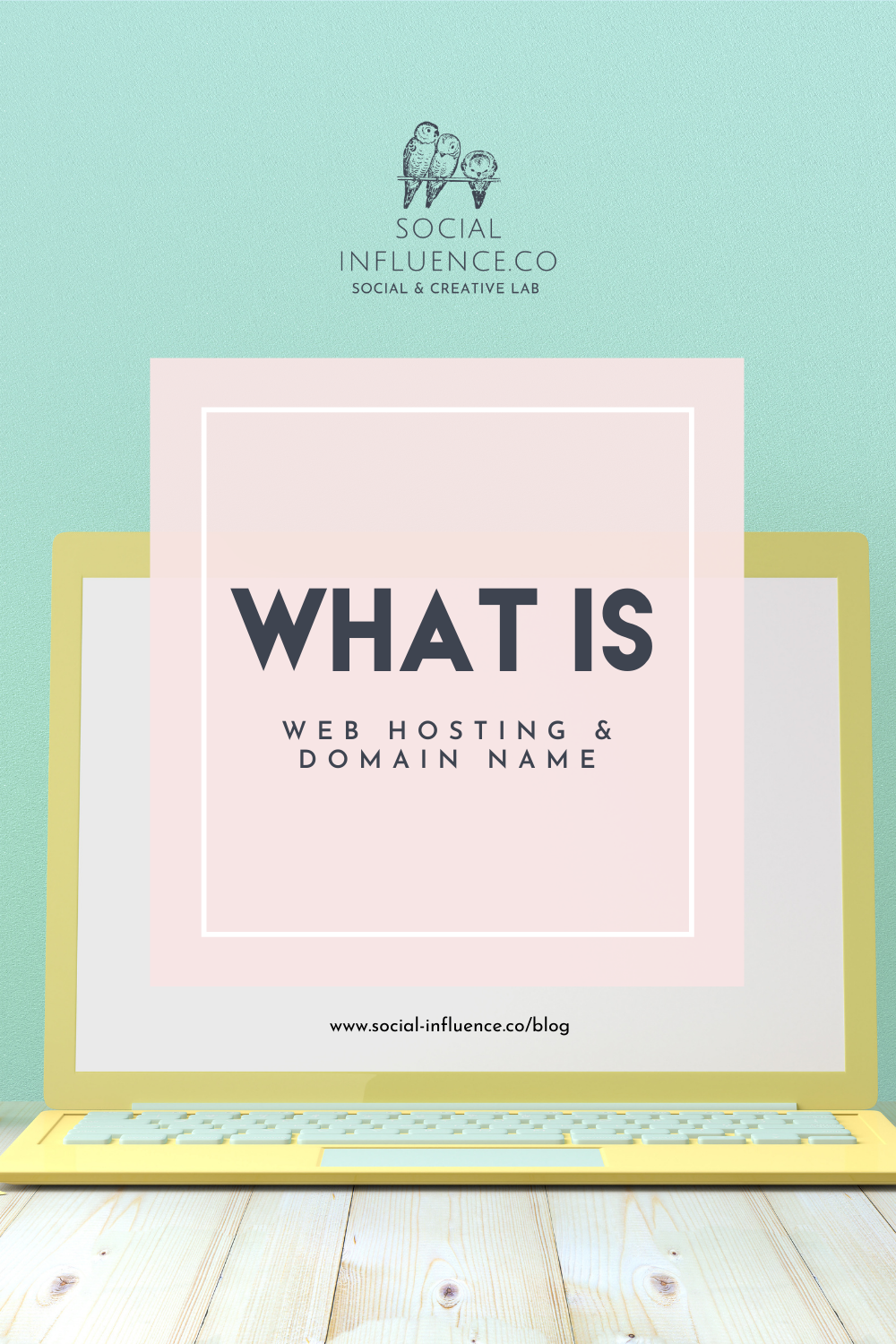 difference between hosting and domain name